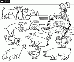 Colorear Granjero en su tractor rodeado por los animales de su granja