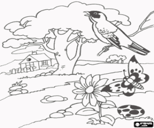 Dibujos para colorear de Primavera , dibujos de Primavera para ...